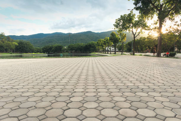 Best Permeable Paver Driveway  in Claremont, NC